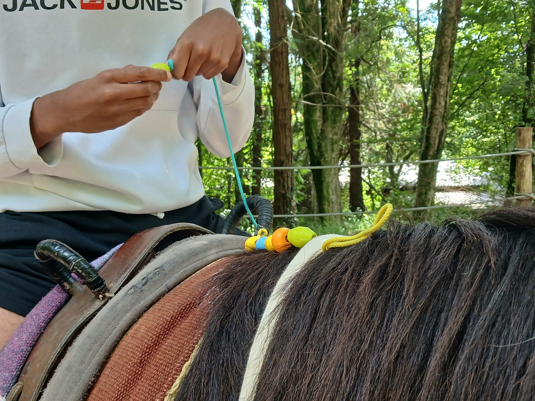 202606 equitherapie