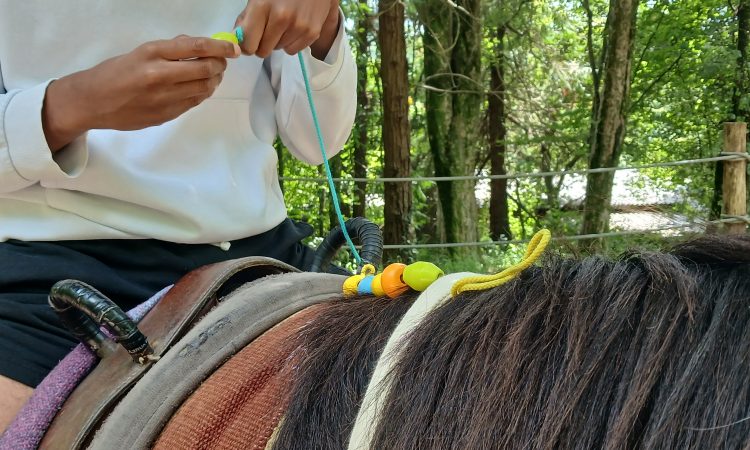 202606 equitherapie