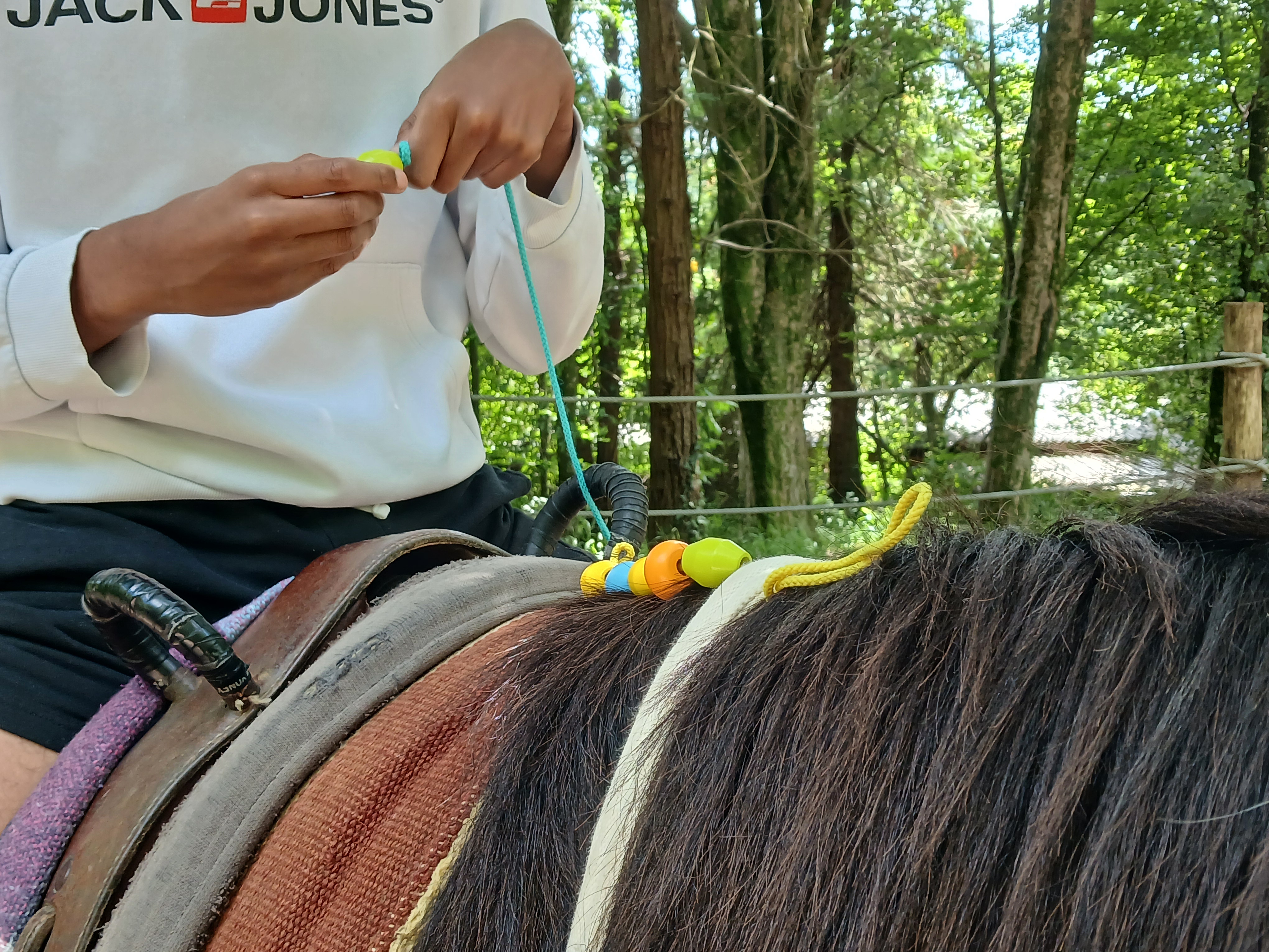 202606 equitherapie